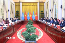 Chủ tịch nước Lương Cường tiếp bà Pauline Tamesis, Điều phối viên Thường trú và các Trưởng đại diện các tổ chức của Liên hợp quốc tại Việt Nam ngày 18/9. (Ảnh: Lâm Khánh/TTXVN)