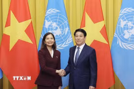 Chủ tịch nước Lương Cường tiếp bà Pauline Tamesis, Điều phối viên Thường trú Liên hợp quốc tại Việt Nam. (Ảnh: Lâm Khánh/TTXVN)