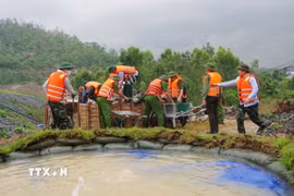Luyện tập phòng thủ dân sự, ứng phó sự cố đê điều, hồ đập. (Ảnh: Hoàng Hùng/TTXVN)