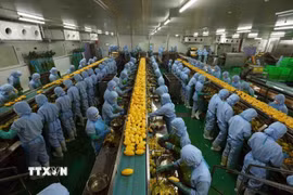 Nhà máy chế biến nông sản của Công ty TNHH B’LaoFood ở khu công nghiệp Lộc Sơn, thành phố Bảo Lộc, là nhà máy lớn nhất của tỉnh Lâm Đồng, có dây chuyền sản xuất với thiết bị máy móc, công nghệ hiện đại của Thụy Điển. (Ảnh: Vũ Sinh/TTXVN)