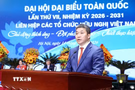 Chủ tịch Liên hiệp các tổ chức hữu nghị Việt Nam Phan Anh Sơn phát biểu. (Ảnh: An Đăng/TTXVN)