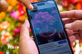 Người dân phường Long Hoa, tỉnh Tây Ninh sử dụng điện thoại thông minh để tra cứu thông tin sản phẩm nông nghiệp, góp phần thúc đẩy kinh tế số trong lĩnh vực nông nghiệp. (Ảnh: Minh Phú/TTXVN)