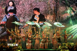 Một tiết mục biểu diễn nghệ thuật tại Lễ hội mùa Đông Bắc Hà. (Ảnh: Quốc Khánh/TTXVN)