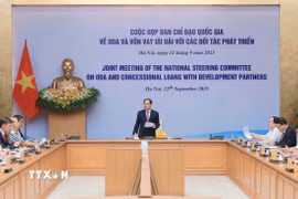 Phó Thủ tướng Bùi Thanh Sơn, Trưởng Ban Chỉ đạo quốc gia về ODA và vốn vay ưu đãi phát biểu. (Ảnh: An Đăng/TTXVN)