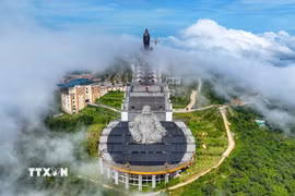 Khu Du lịch Quốc gia Núi Bà Đen, phường Bình Minh, tỉnh Tây Ninh được trao tặng và trồng 100 cây ngô đồng từ nước Cộng hòa Nhân dân Trung Hoa. (Ảnh: Minh Phú/TTXVN)