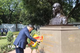 Tổng Bí thư, Chủ tịch nước Tô Lâm đặt vòng hoa tưởng niệm Bác Hồ tại Tượng Chủ tịch Hồ Chí Minh, trong Công viên G20 ở thủ đô New Delhi. (Ảnh: Ngọc Thúy/TTXVN)