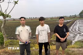 Ba đối tượng nhập cảnh trái phép từ Campuchia về Việt Nam bị bắt giữ tại khu vực Mốc 170/1, thuộc ấp Rừng Dầu, xã Bến Cầu, tỉnh Tây Ninh. (Ảnh: TTXVN phát)