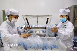 Đóng gói dược phẩm loại viên nang tại nhà máy sản xuất dược phẩm. (Ảnh: Hồng Đạt/TTXVN)