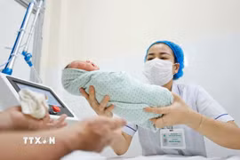 Chăm sóc trẻ sơ sinh. (Nguồn: TTXVN)