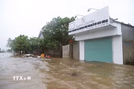 Khu vực dân cư gần cửa biển Lạch Vạn thuộc xã Diễn Châu (tỉnh Nghệ An) bị ngập nặng. (Ảnh: Xuân Tiến/TTXVN)