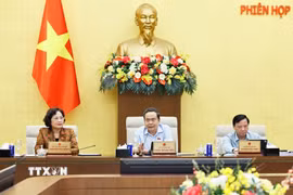Chủ tịch Quốc hội Trần Thanh Mẫn phát biểu. (Ảnh: Doãn Tấn/TTXVN)