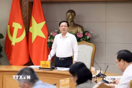 Phó Thủ tướng Hồ Quốc Dũng phát biểu. (Ảnh: An Đăng/TTXVN)