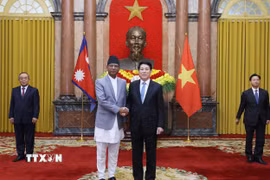 Chủ tịch nước Lương Cường với Đại sứ Cộng hòa Gabon tại Việt Nam Baudelaire Ndong Ella trình Quốc thư. (Ảnh: Lâm Khánh/TTXVN)