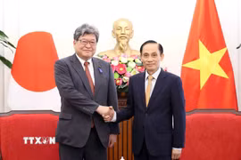Bộ trưởng Ngoại giao Lê Hoài Trung tiếp Quyền Tổng Thư ký Đảng Dân chủ Tự do Nhật Bản Hagiuda Koichi. (Ảnh: An Đăng/TTXVN)