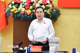 Chủ tịch Quốc hội Trần Thanh Mẫn phát biểu tại Hội nghị Ban Thường vụ Đảng ủy Quốc hội và Ban Thường vụ Thành ủy Thành phố Hồ Chí Minh. (Ảnh: Doãn Tấn/TTXVN)