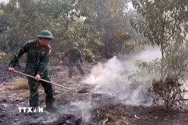 Cán bộ chiến sỹ Đồn Biên phòng cửa khẩu cảng Chân Mây, Ban Chỉ huy Bộ đội Biên phòng thành phố Huế phối hợp với chính quyền địa phương kịp thời khống chế vụ cháy rừng tại xã Chân Mây-Lăng Cô. (Ảnh: TTXVN phát)