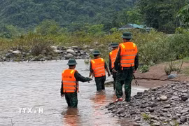 Các lực lượng chức năng, chính quyền địa phương và người dân xã Dân Hoá đang triển khai tìm kiếm người phụ nữ bị mất tích. (Ảnh: TTXVN phát)
