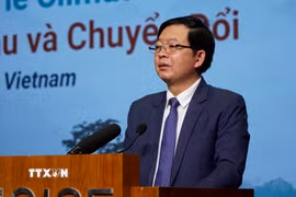 Phó Thủ tướng Chính phủ Hồ Quốc Dũng phát biểu tại chương trình. (Ảnh: Đình Quân/TTXVN)