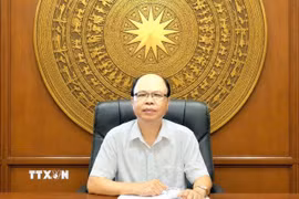 Nhà báo, Luật gia Đoàn Mạnh Phương, Chủ tịch Hội đồng Quản lý Viện Chính sách, Pháp luật và Quản lý (Liên hiệp các Hội Khoa học và Kỹ thuật Việt Nam) đánh giá, Quy định số 207-QĐ/TW Quy định 207 đã mở rộng phạm vi điều chỉnh đối với trách nhiệm của đảng viên trên môi trường mạng. (Ảnh: Diệu Thúy/TTXVN)