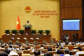 Quốc hội biểu quyết thông qua các luật, nghị quyết trong sáng 24/8. (Ảnh: Doãn Tấn/TTXVN)