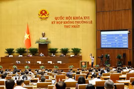 Quốc hội biểu quyết thông qua Luật sửa đổi, bổ sung một số điều của Luật Kiến trúc. (Ảnh: Doãn Tấn/TTXVN)