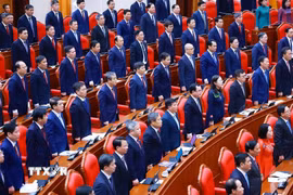 Các đại biểu thực hiện nghi lễ chào cờ tại phiên khai mạc Hội nghị Trung ương 3. (Ảnh: Dương Giang/TTXVN)