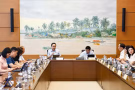 Chủ tịch Quốc hội Trần Thanh Mẫn, đại biểu Quốc hội tỉnh Hậu Giang phát biểu. (Ảnh: Doãn Tấn/TTXVN)