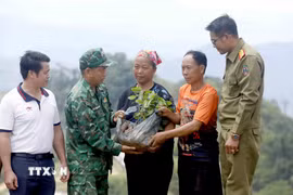 Trao tặng cây càphê giống cho hộ dân bản Móng Nặm, xã Móng Nặm, huyện Xiềng Khọ, tỉnh Hủa Phăn (Lào). (Ảnh: Quang Quyết/TTXVN)
