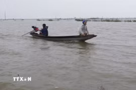 Việc đi lại giữa xã Quảng Điền và phường Kim Trà, thành phố Huế phải dùng thuyền, do lũ sông Bồ dâng cao gây ngập lụt ngày 17/11. (Ảnh: Nguyên Lý/TTXVN)