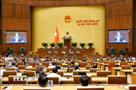 Bộ trưởng Bộ Công an Lương Tam Quang giải trình, làm rõ một số vấn đề đại biểu Quốc hội nêu. (Ảnh: Doãn Tấn/TTXVN)