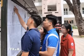 Ảnh minh họa. (Nguồn: Minh Quyết/TTXVN)