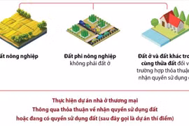 Bắt đầu thí điểm thực hiện dự án nhà ở thương mại thông qua thỏa thuận