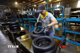 Sản xuất sản phẩm lốp xe máy ở nhà máy của Công ty Trách nhiệm hữu hạn Cao su CAMEL Việt Nam, 100% vốn Thái Lan tại khu kinh tế Cửa khẩu quốc tế Lao Bảo, tỉnh Quảng Trị. (Ảnh: Vũ Sinh/TTXVN)