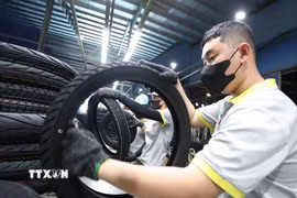 Sản xuất sản phẩm lốp xe máy ở nhà máy của Công ty Trách nhiệm hữu hạn Cao su CAMEL Việt Nam, 100% vốn Thái Lan tại khu kinh tế Cửa khẩu quốc tế Lao Bảo, tỉnh Quảng Trị. (Ảnh: Vũ Sinh/TTXVN)