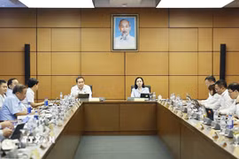 Chủ tịch Quốc hội Trần Thanh Mẫn, đại biểu Quốc hội Thành phố Hồ Chí Minh phát biểu. (Ảnh: Doãn Tấn/TTXVN)