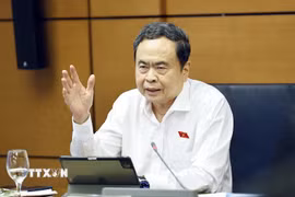 Chủ tịch Quốc hội Trần Thanh Mẫn, đại biểu Quốc hội Thành phố Hồ Chí Minh phát biểu. (Ảnh: Doãn Tấn/TTXVN)