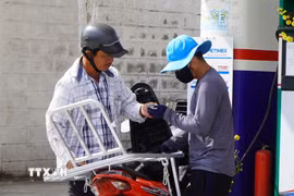 (Ảnh minh họa: Nhựt An/TTXVN)