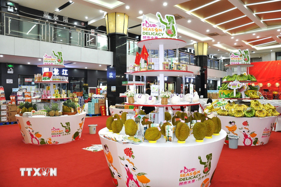 Sáng 29/9/2024, tại khu chợ đầu mối Tân Phát Địa ở thủ đô Bắc Kinh, diễn ra khai mại Lễ hội Trái cây Việt Nam lần thứ nhất tại Trung Quốc. (Ảnh: Thành Dương/TTXVN)