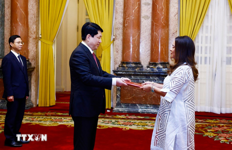 Chủ tịch nước Lương Cường nhận Quốc thư từ Đại sứ Cộng hòa Panama Nubiela Yanarith Ayala Modes. (Ảnh: Lâm Khánh/TTXVN)