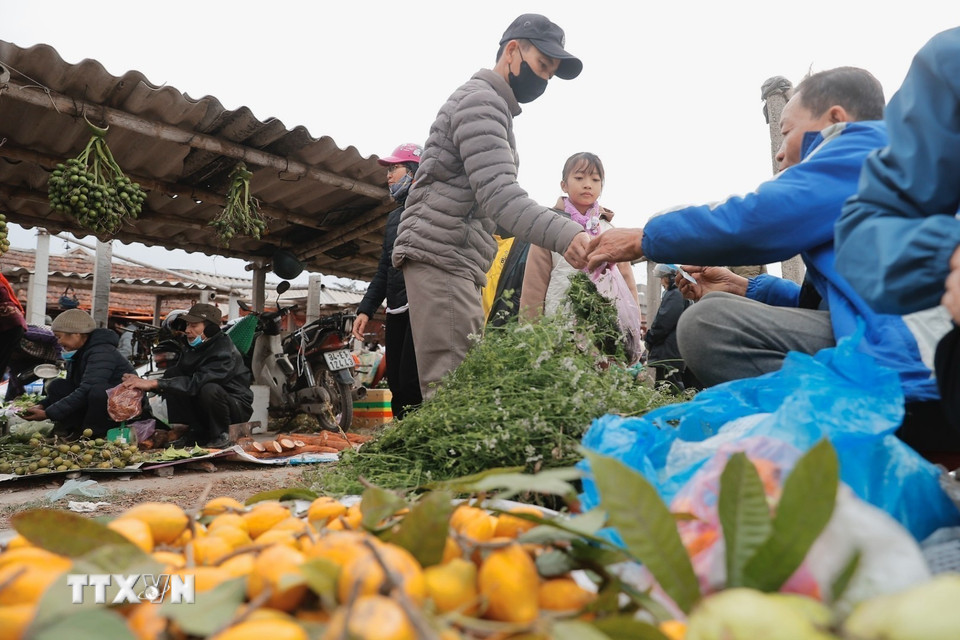 Người dân đi chợ mua sắm chuẩn bị cho Tết.(Ảnh: Minh Quyết/TTXVN)