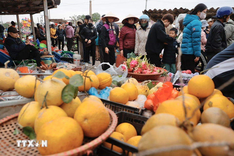Đây không chỉ là nơi mua bán hàng hóa của người dân trong xã, trong huyện mà người dân ở các huyện Tứ Kỳ, Gia Lộc (Hải Dương), TP Hải Phòng, tỉnh Thái Bình cũng đến đây trao đổi hàng hóa. (Ảnh: Minh Quyết/TTXVN)