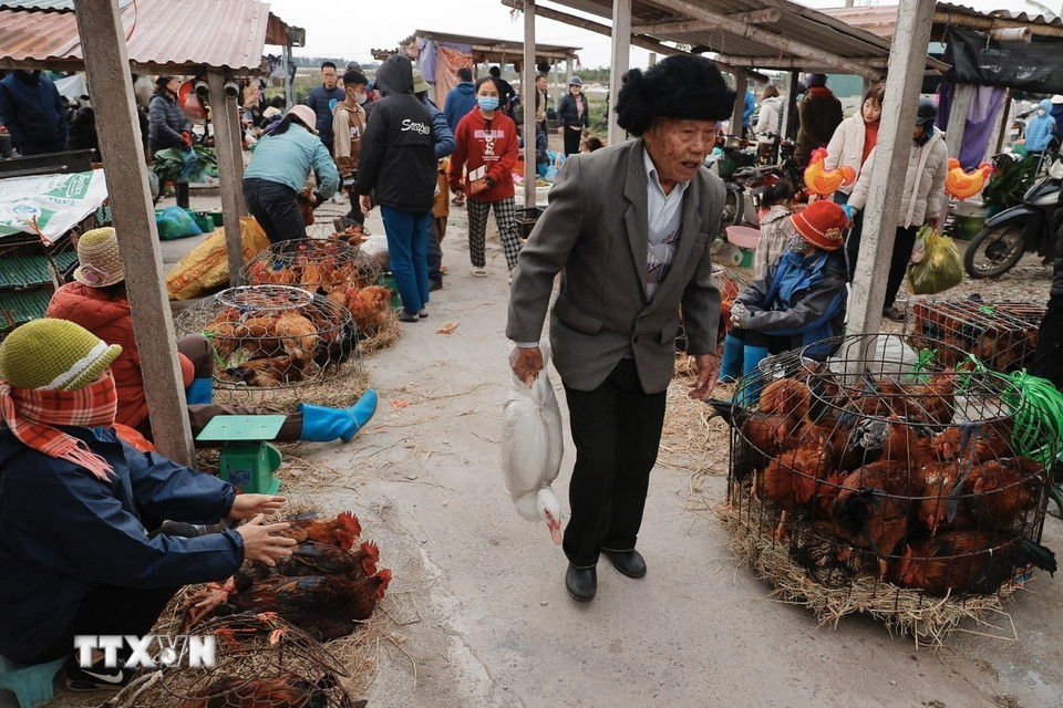 Người dân đi chợ mua sắm chuẩn bị cho Tết. (Ảnh: Minh Quyết/TTXVN)