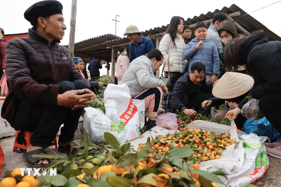 Người dân đi chợ mua sắm chuẩn bị cho Tết. (Ảnh: Minh Quyết/TTXVN)