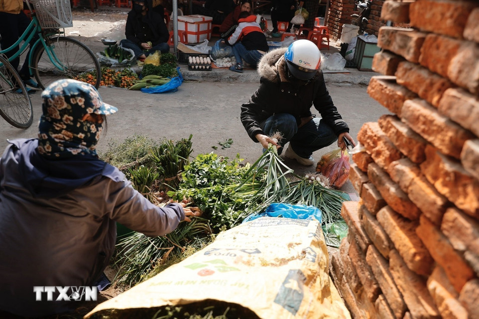 Người dân đi chợ mua sắm chuẩn bị cho Tết. (Ảnh: Minh Quyết/TTXVN)