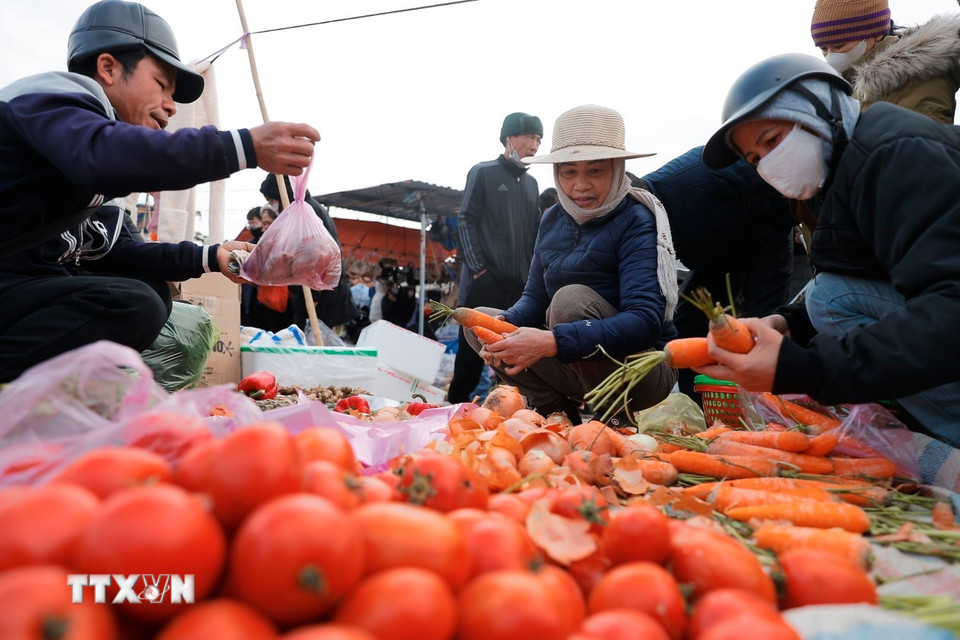 Những sản phẩm được trồng từ người dân địa phương. (Ảnh: Minh Quyết/TTXVN)