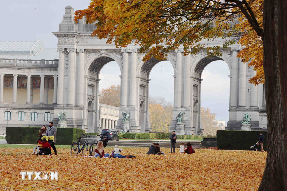 Từng nhóm gia đình thong thả dắt tay con nhỏ dạo bước trên thảm lá vàng. (Ảnh : Hương Giang/TTXVN)