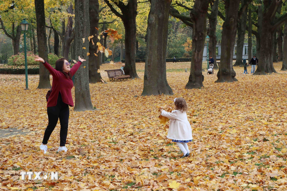 Trên thảm lá vàng, các gia đình vui đùa với con nhỏ. (Ảnh : Hương Giang/TTXVN)