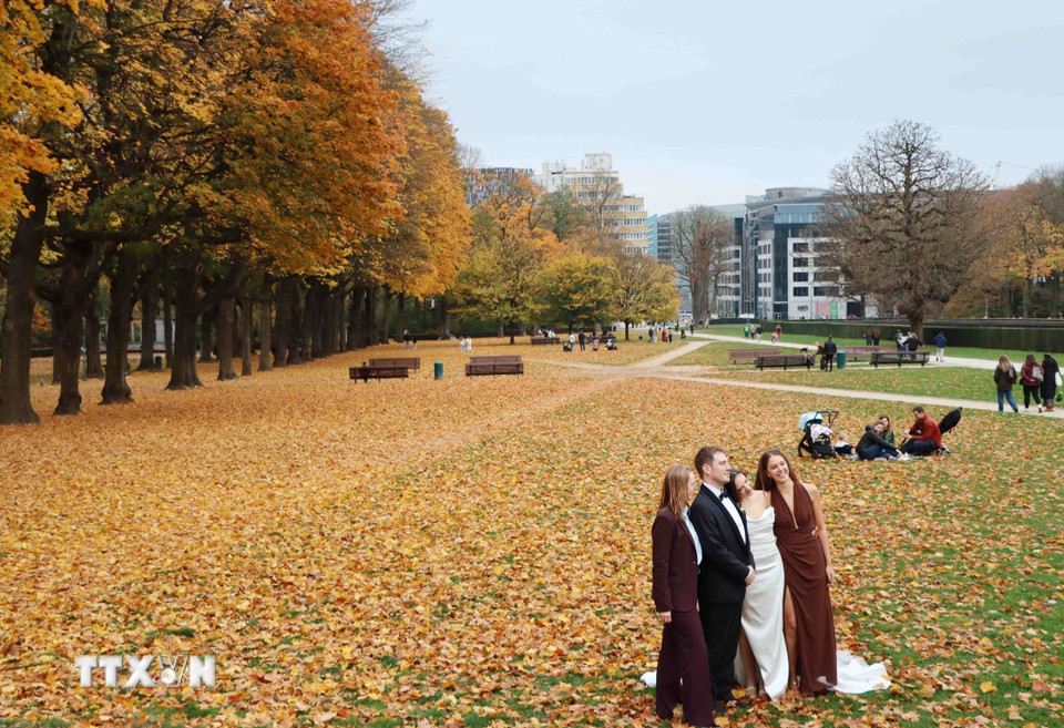 Một cặp cô dâu chú rể chọn nơi đây làm phông nền cho bộ ảnh cưới. (Ảnh : Hương Giang/TTXVN)