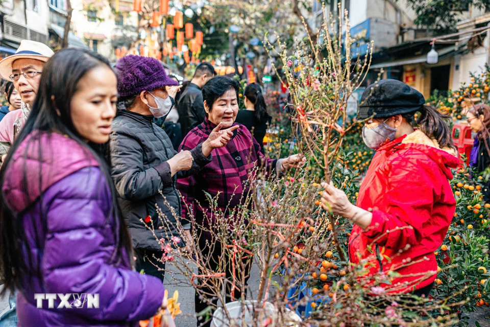 Không khí nhộn nhịp ở chợ hoa Hàng Lược ngày 28 Tết. (Ảnh: Phạm Tuấn Anh/(TTXVN)