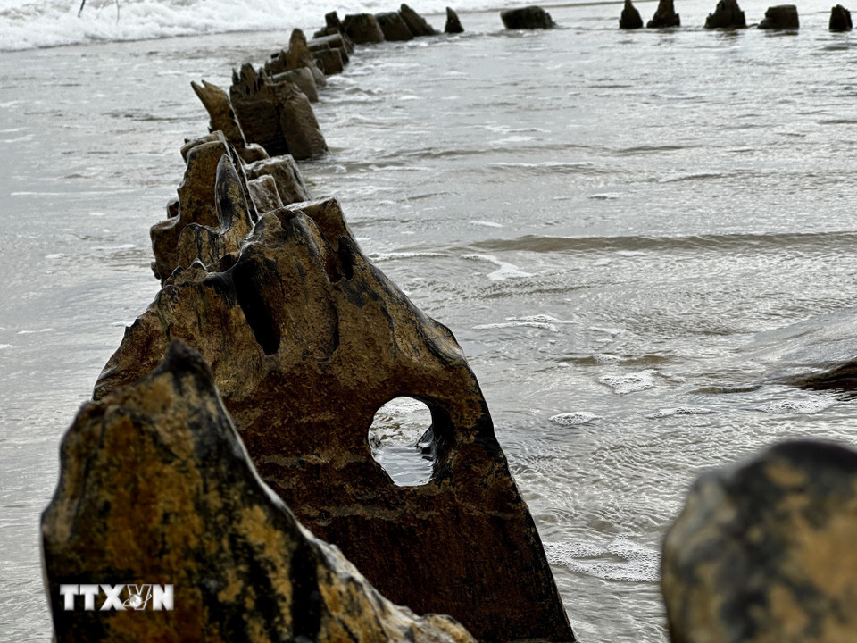 Tác động của thiên nhiên làm mòn các thân gỗ của tàu. (Ảnh: Trần Lê Lâm/TTXVN)
